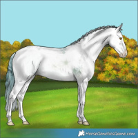 Horse Color:Smoky Blue Onyx Pearl Sabino Splash 