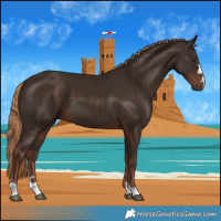 Horse Color:Liver Chestnut 