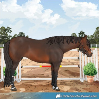Horse Color:Brown 
