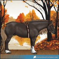 Horse Color:Liver Chestnut Tobiano 