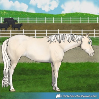 Horse Color:Palomino Pearl 