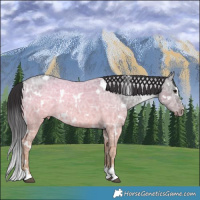 Horse Color:Platinum White Spotted Buckskin Ice Dun Brindle