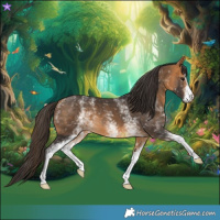 Horse Color:White Spotted Buckskin 