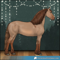 Horse Color:Red Dun Rabicano 