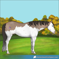 Horse Color:Bay Dun Mushroom Splash 