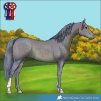 Horse Color:Watercolor Brown 