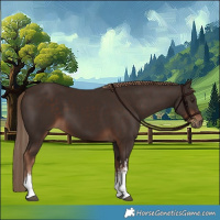 Horse Color:White Spotted Liver Chestnut 