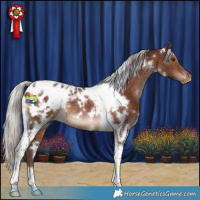 Horse Color:White Spotted Silver Bay Tobiano Appaloosa Rabicano 