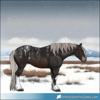 Horse Color:Powder White Gray White Spotted Silver Brown 
