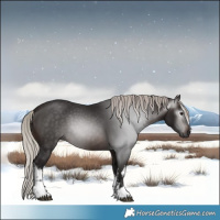 Horse Color:Gray White Spotted Silver Brown 