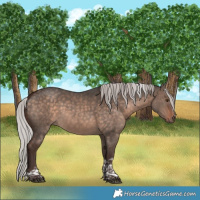 Horse Color:Silver Brown Dun Mushroom Tobiano Frame Rabicano 