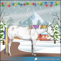 Horse Color:Gray Painted White Spotted Silver Buckskin Ice Splash Rabicano