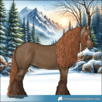 Horse Color:Gray White Spotted Liver Red Dun 