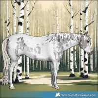 Horse Color:Gray Silver Brown Sabino Tobiano Appaloosa Rabicano 