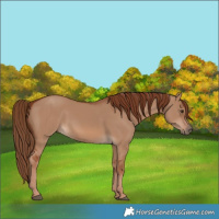 Horse Color:Red Dun