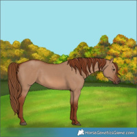 Horse Color:Red Dun 