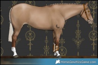 Horse Color:Gray Silver Grullo Pearl Tobiano