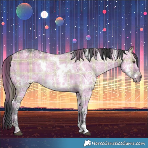 Horse Color:Plaid  White Spotted Grullo Chinchilla Ice Rabicano 
