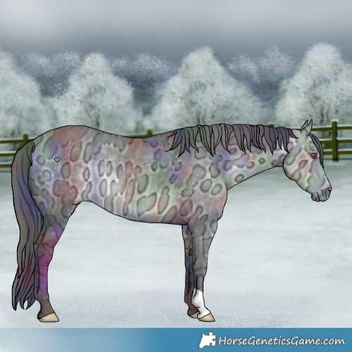 Horse Color:Nacre Buckskin Chinchilla Ice Rabicano