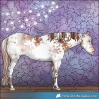 Horse Color:White Spotted Chocolate Bay Splash Appaloosa