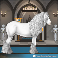 Horse Color:Liver Chestnut Sabino Splash Snowflake Varnish