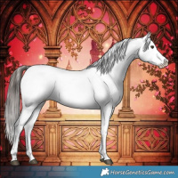 Horse Color:Liver Red Dun Sabino Splash Snowflake Varnish