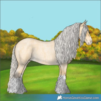 Horse Color:Silver Buckskin Roan Splash 