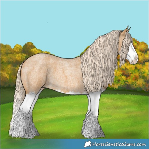 Horse Color:Palomino Roan Splash 