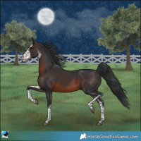 Horse Color:White Spotted Brown Mushroom 