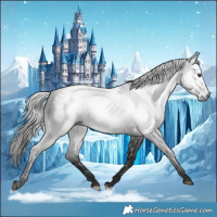 Horse Color:Gray White Spotted Liver Chestnut 