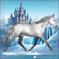 Horse Color:Gray White Spotted Liver Chestnut 