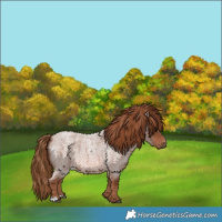Horse Color:Red Roan