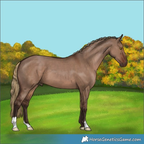 Horse Color:Liver Red Dun 