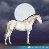 Horse Color:White Spotted Buckskin Pearl Dun 