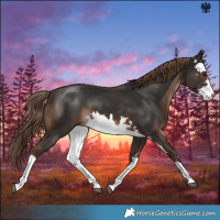 Horse Color:White Spotted Liver Chestnut 
