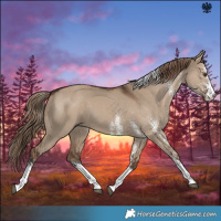 Horse Color:White Spotted Liver Red Dun Tobiano 
