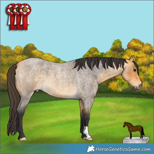 Horse Color:Buckskin Roan 