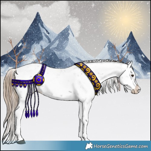 Horse Color:Liver Chestnut Sabino Splash Appaloosa 