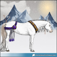 Horse Color:Liver Chestnut Sabino Splash Appaloosa 