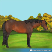Horse Color:Brown 