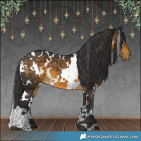 Horse Color:White Spotted Buckskin 