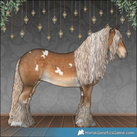 Horse Color:White Spotted Chocolate Palomino 