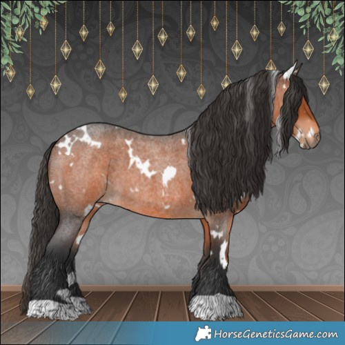 Horse Color:White Spotted Brown Roan 