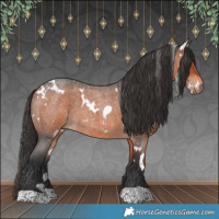 Horse Color:White Spotted Brown Roan 