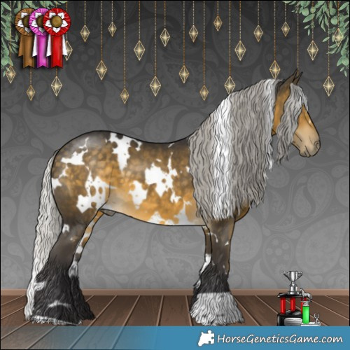 Horse Color:White Spotted Silver Buckskin 
