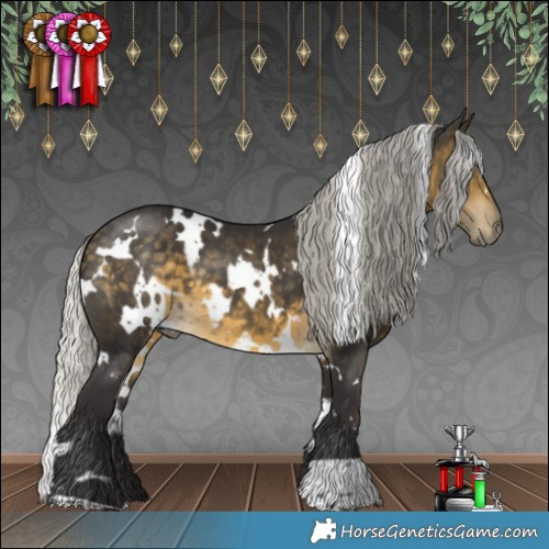 Horse Color:White Spotted Silver Buckskin 