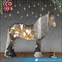 Horse Color:White Spotted Silver Buckskin