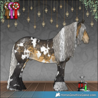 Horse Color:White Spotted Silver Buckskin 