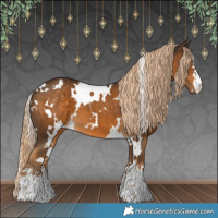 Horse Color:White Spotted Chocolate Palomino