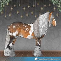 Horse Color:White Spotted Silver Buckskin 